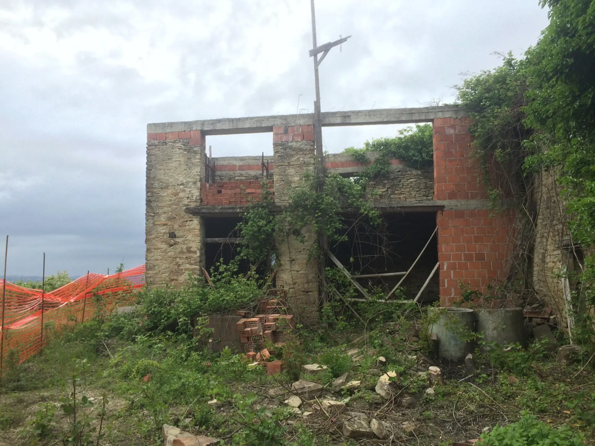 The farmhouse as we found it, reclaimed by the woods